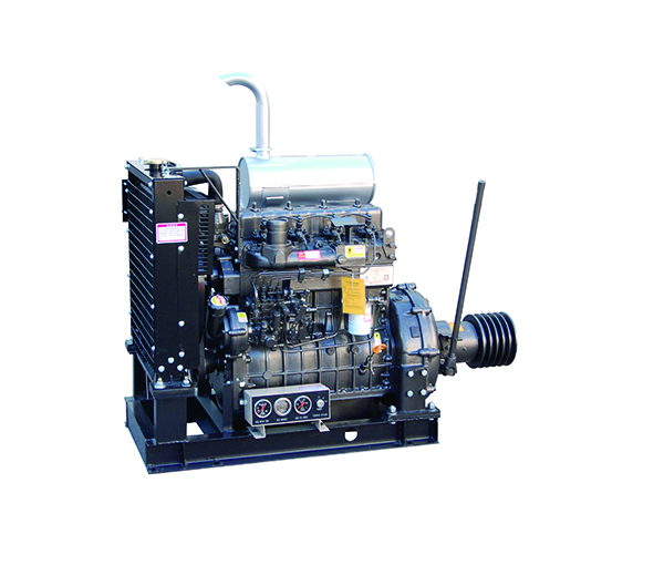 295D diesel engine